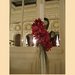 Amaryllis by Laura - Aranjamente florale, buchete evenimente